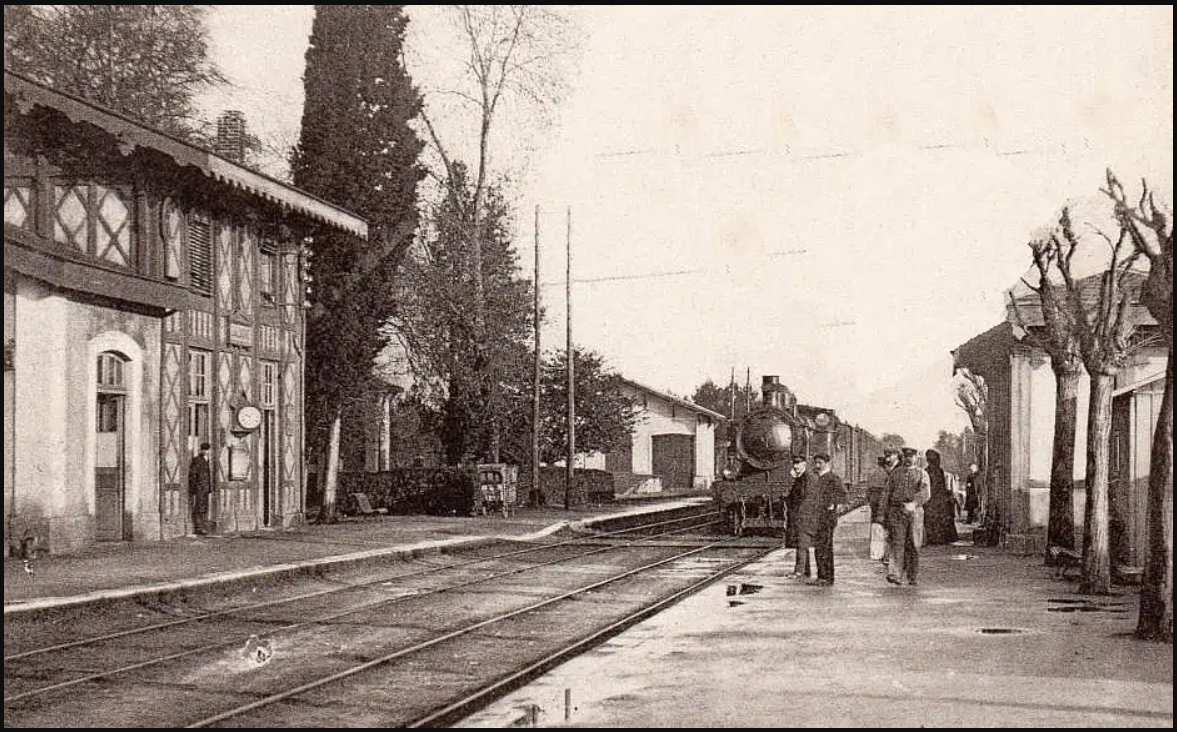 4. Photo